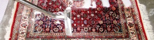 فاضلاب قالیشویی carpetcashing raymon 300x78 - فاضلاب قالیشویی