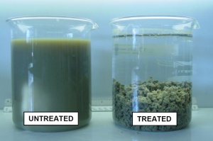 روش های شیمیایی تصفیه فاضلاب Treatment 300x199 - روش های شیمیایی تصفیه فاضلاب